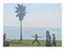 Beach Therapeutic Massage & Wellness