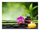 Body Bliss Massage and Bodywork