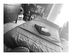 C Lamar Massage LLC