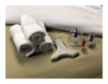 Integrative Massage Solutions