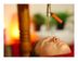 Jeevanaya Wellness
