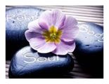 Kneaded Massage and Bodywork Therapy, LLC