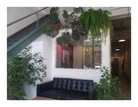 Best Wellness Boutique