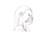 Post-operative and Therapeutic Massage