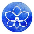 Blue Orchid Wellness