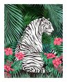White Tiger Acupuncture