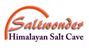 Saltwonder Himalayan Salt Cave