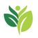Lifetime Wellness