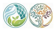 Christine Cholack: Massage Therapy and Nutrition @ Maple Grove Chiropractic