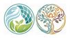 Christine Cholack: Massage Therapy and Nutrition @ Maple Grove Chiropractic