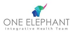 One Elephant Integrative Health Team