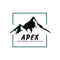 Apex Performance and Wellness