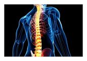 Dr. Tanya Crowle D.C: Dr. Tanya Crowle D.C / Lagree Life Fitness Studio