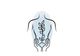 Lindsay Chiropractic & Wellness