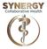 Synergy Collaborative Health