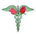 Rose City Acupuncture & Massage