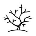 Regenerations LLC