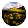 Valleyside Integrative Health