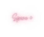 Spine+