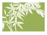 The Best of Chinese Medicine: Acuffect