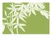 The Best of Chinese Medicine