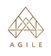 Agile Integrated Health