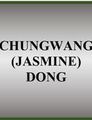 Chunwang (Jasmine) Dong