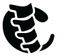 Caddey's Osteopathy & Massage Therapy