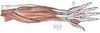 Lee Walder