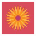 Wildflower Registered Massage Therapy
